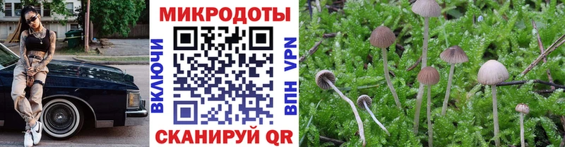 Галлюциногенные грибы GOLDEN TEACHER  Купить где  Нурлат 